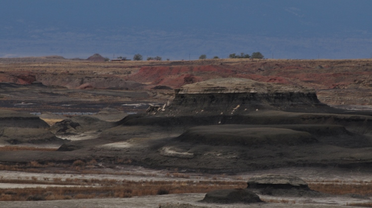 bisti wilderness